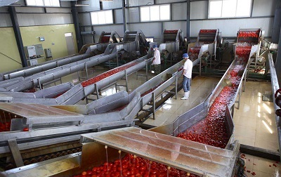 Equipos de procesamiento de mermeladas y jugos de verduras y frutas